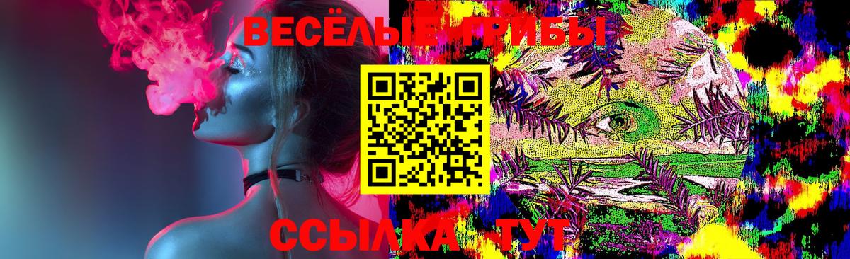 Галлюциногенные грибы мухоморы Великий Устюг