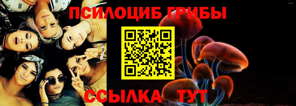 Галлюциногенные грибы GOLDEN TEACHER  Галлюциногенные грибы Cubensis  что такое   Вход с VPN  Великий Устюг 